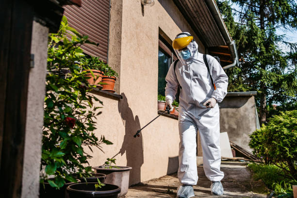 Best Residential Pest Control  in Edwards, CO