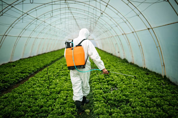 Best Pest Control Near Me in Edwards, CO